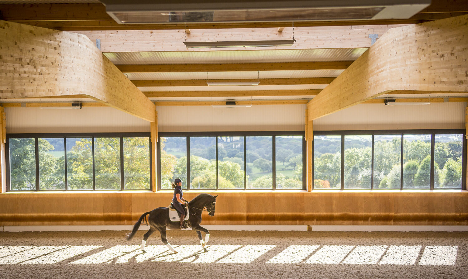 Cavalo Iluminação Arena 1