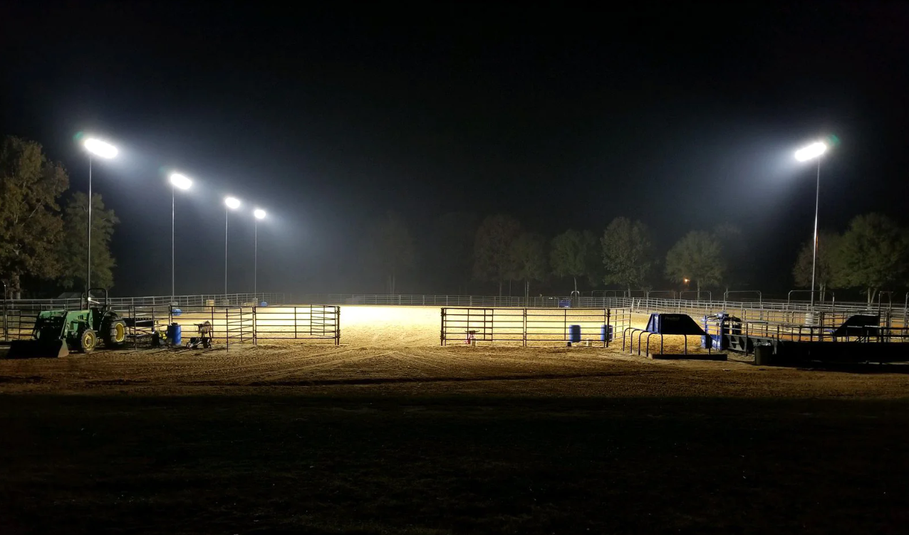 Verlichting paardenbak 5